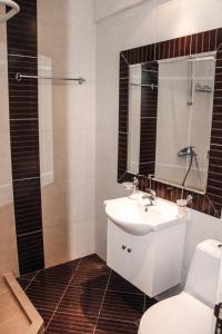 a bathroom with a sink and a shower and a toilet at Ecostar 10.1.B in Rogachevo