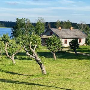 ein Haus inmitten eines Feldes mit Bäumen in der Unterkunft Medumi Lake Villa in Medumi