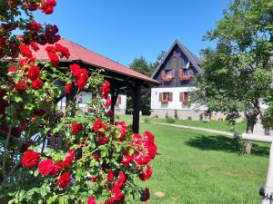 Uma casa com rosas vermelhas à frente. em Pansion Breza em Plitvicka Jezera