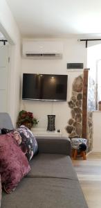 TV a/nebo společenská místnost v ubytování Apartment Marko