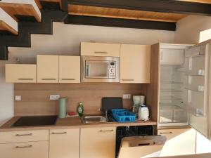 eine Küche mit einer Spüle und einer Mikrowelle in der Unterkunft Apartmán Vanessa II in Černá v Pošumaví
