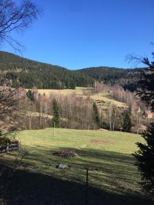 pole zielonej trawy z wzgórzem w tle w obiekcie Apartmán Tereza w mieście Kraslice