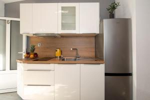 Kuchyň nebo kuchyňský kout v ubytování Apartments Ozrenka