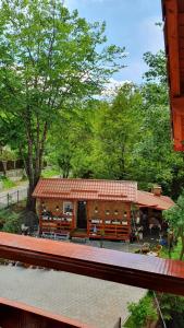 Zahrada ubytování Casa Balint