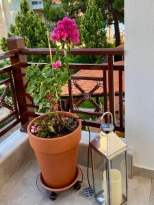 Balkón nebo terasa v ubytování Beach House Nikiti