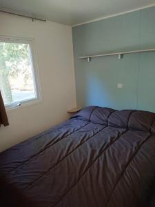 Postel nebo postele na pokoji v ubytování Camping Du Lion