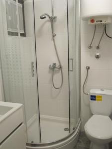 a bathroom with a shower with a toilet and a sink at Zaglav Iva in Martinšćica +9 photos