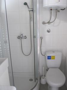 Kúpeľňa v ubytovaní Apartman Zaglav