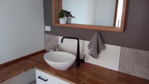uma casa de banho com um lavatório e um espelho. em Corner Cottage Rear Studio - Geneva in Kyogle em Kyogle