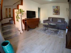 ein Wohnzimmer mit einem Sofa und einem TV in der Unterkunft Lucca in Corte near the city centre in Lucca