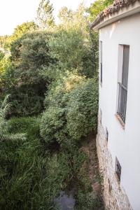 Zahrada ubytování Hotel El Molino