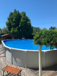 a swimming pool on a deck with a bench and a tree at les Sences in Bédarrides