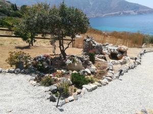 a garden with a tree and flowers on a beach at Sylvia's houses in Kalymnos