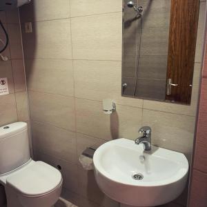 La salle de bains est pourvue d'un lavabo, de toilettes et d'un miroir. dans l'établissement Hotel Crown, à Ureki