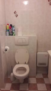 La petite salle de bains est pourvue de toilettes et d'un lavabo. dans l'établissement Zonnehaven, à Blankenberge