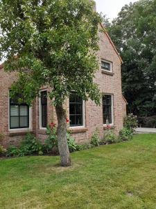 a tree in front of a brick house at Bed&Breakfast Oudeschans in Oudeschans