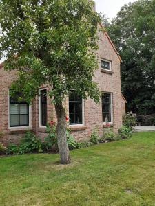 Κήπος έξω από το Bed&Breakfast Oudeschans +7 φωτογραφίες