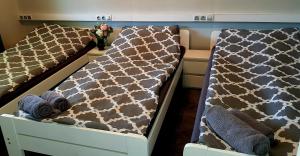 two twin beds in a room with at Agro Relax Nowodwór 2 in Nowodwór