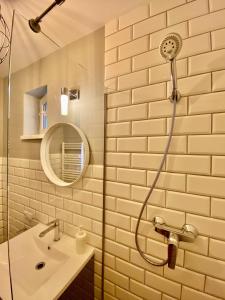 W łazience znajduje się prysznic i umywalka. w obiekcie Johann Gott Suite w Braszowie