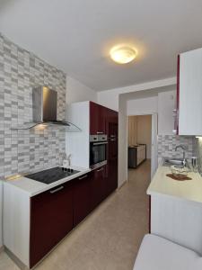 una cocina con fregadero y estufa horno superior en Kvarner Sea View Apartment Rijeka, en Rijeka