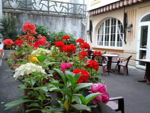 Zahrada ubytování Hotel Calvaire