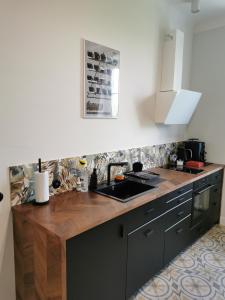 uma cozinha com um lavatório e uma bancada em Apartament Podoficerski z sauną em Puławy