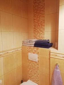 A bathroom at Apartament Biała Mewa