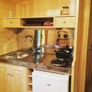 a small kitchen with a stove and a sink at Chambres d'hôtes et Roulotte Au Bonheur Du Parc in Le Breuil