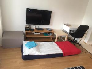 TV a/nebo společenská místnost v ubytování Pikku Karhu