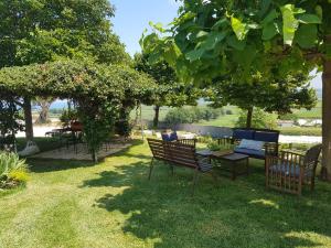 un giardino con tavolo e sedie sotto un albero di B&B La Casa Bianca a Fossacesia