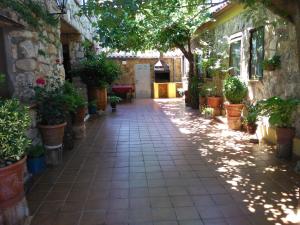 a courtyard with potted plants in a building at El Ventorrillo 1 in Riópar