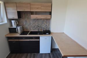a kitchen with a sink and a microwave at Domek Nad Czorsztynem in Mizerna