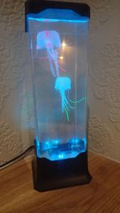 a plastic container with two jellyfish in it at The Victoria guest house in Mablethorpe