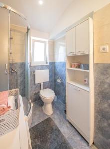 コミジャにあるAnika Apartment Komižaのトイレとシャワー付きのバスルーム