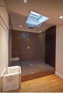 a bathroom with a shower with a skylight at Hotel Löwen in Lahr