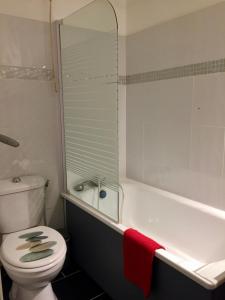 a bathroom with a toilet and a tub and a sink at Studio pied des pistes in Villard-de-Lans