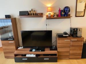 een flatscreen-tv bovenop een houten entertainmentcentrum bij One-bedroom Apartment near Atomium in Brussel