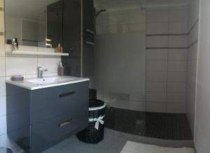 uma casa de banho com um lavatório e um chuveiro em Jolie individuelle wifi climatisée au cœur de la Provence à 40 km Verdon et de Ste Maxime em Lorgues