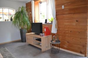 een woonkamer met een tv en een houten muur bij Het Zwaluwnest 69 in Giessenburg