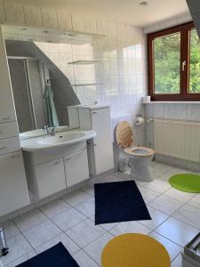 un bagno con un water, un lavandino e uno specchio di Ferienwohnung Wentorf Amt Sandesneben a Wentorf Altre 22 foto
