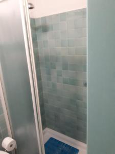 La salle de bains est pourvue d'une douche avec un tapis bleu. dans l'établissement San Barnaba Artist's district house, à Venise