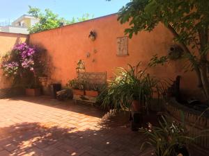 a courtyard with plants and a wall with a bench at VILLA MARIPOSA in Nettuno