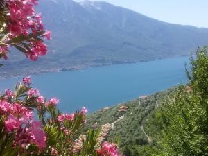 a view of a lake from a hill with pink flowers at Corte di Tosina in Monzambano
