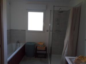 a bathroom with a tub and a shower and a window at Gîte des Garennes in Saint-Étienne-au-Mont +12 photos