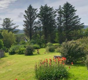 Gallery image of Kilmuir Park in Dunvegan