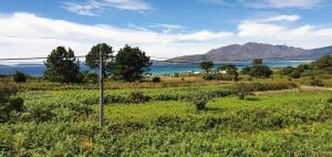 a field with a view of the ocean and mountains at Carnota PLAYA a 100 metros in Carnota