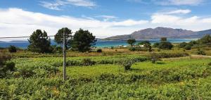 a field with a view of the ocean and mountains at Carnota PLAYA a 100 metros in Carnota +21 photos