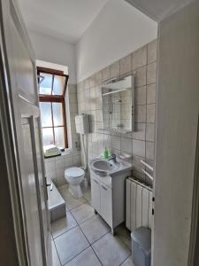 a bathroom with a sink and a toilet and a mirror at Apartments Balticadriatic in Dramalj
