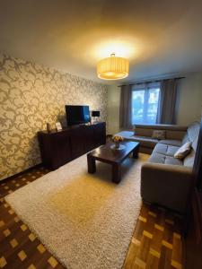 een woonkamer met een bank en een salontafel bij City Centre Apartment in Reghin