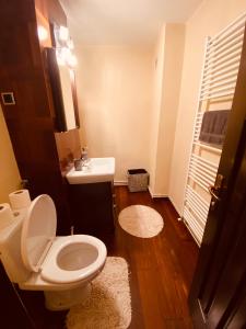 een kleine badkamer met een toilet en een wastafel bij City Centre Apartment in Reghin